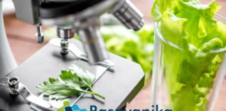 CSIR-CFTRI Pharma Jobs 2019 – Pharma Project Assistant