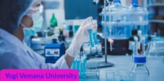 Chemistry Project Fellow Job - Yogi Vemana University