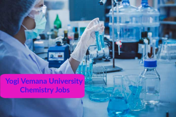 Chemistry Project Fellow Job - Yogi Vemana University
