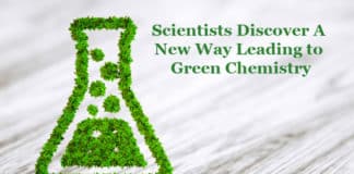 Green Chemistry by New Plant Enzyme