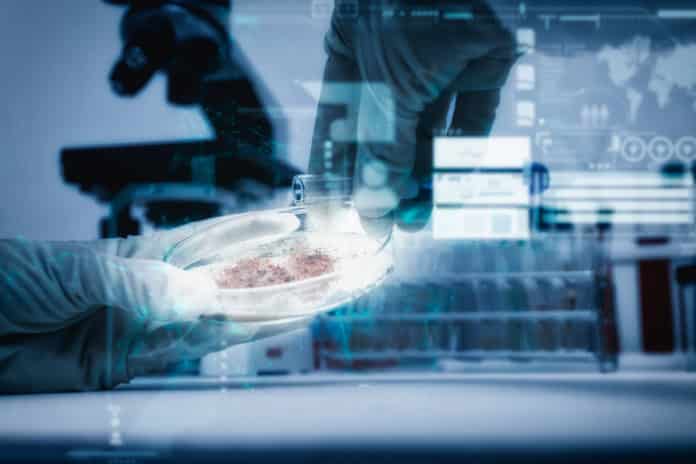 IIT Mandi Pharmacist Job Opening - B Pharma Job Opening