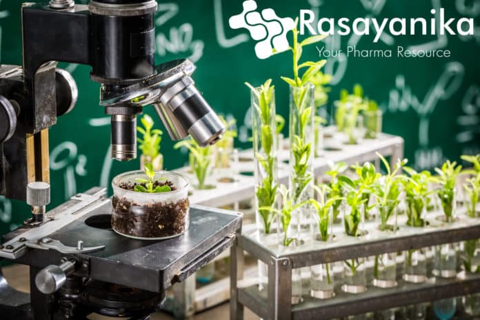 NIPGR Msc Chemistry Job Opening - Msc Chemistry Jobs