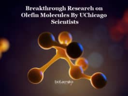 New Method to Create Olefins