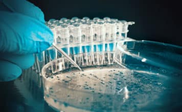 RCB M Pharma Job Opening – Pharma JRF Job Opening RCB M Pharma Job Opening – Pharma JRF Job Opening