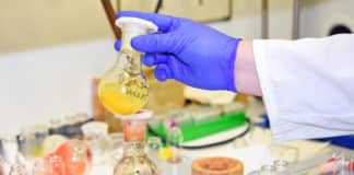 SRM University Chemistry Scientific Officer Job Opening 2019