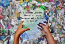 convert plastics to useful chemicals