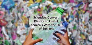 convert plastics to useful chemicals