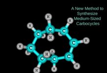 synthesis of medium-sized carbocycles