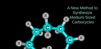 synthesis of medium-sized carbocycles