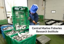 CMFRI Chemistry Job Opening 2020 - Junior Research Fellow