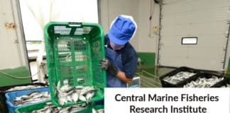 CMFRI Chemistry Job Opening 2020 - Junior Research Fellow
