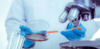 Govt Jobs BPPI Pharma Jobs - Executive Quality Post