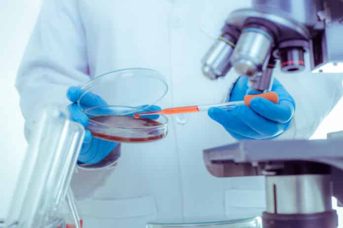 Govt Jobs BPPI Pharma Jobs - Executive Quality Post