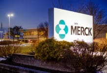 Merck Freshers Recruitment 2020 - MSc Chemistry Candidates Apply