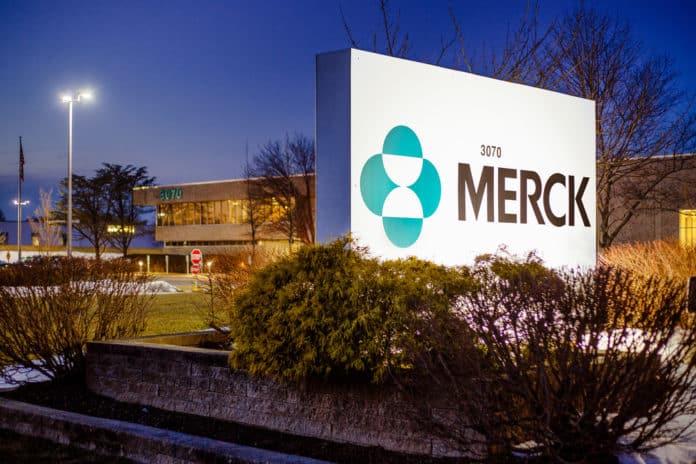 Merck Pharma Job Opening - Business Executive Post