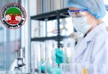 Sardar Patel University Job - Msc Chemistry JRF Salary up to 47,000 pm