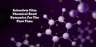 filming chemical bond dynamics