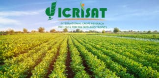 Govt Job ICRISAT Lab Assistant Vacancy - Chemistry Candidates Apply