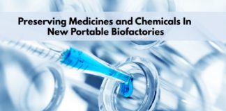 Preserving Chemicals in Portable Biofactories