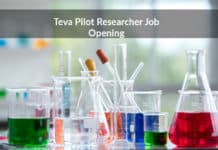 Teva Pilot Researcher Job Opening - MSc Chemistry