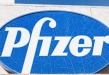 Pfizer Chemistry Executive Job Opening - Apply Online