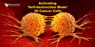 Activating self-destruct mode of cancer