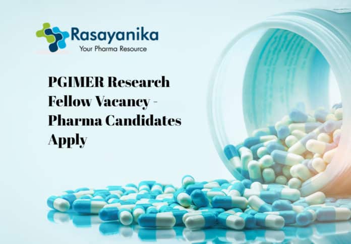 PGIMER Research Fellow Vacancy - Pharma Candidates Apply