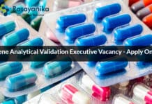 Syngene Analytical Validation Executive Vacancy - Apply Online