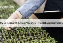 Chemistry Senior Research Fellow Vacancy – Punjab Agricultural University