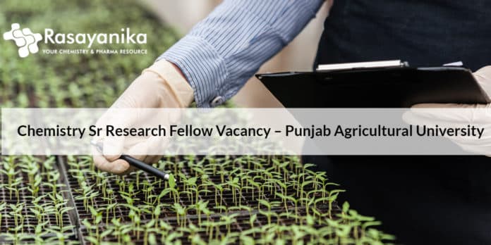 Chemistry Senior Research Fellow Vacancy – Punjab Agricultural University