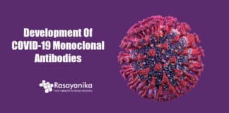Development of COVID-19 Monoclonal antibodies