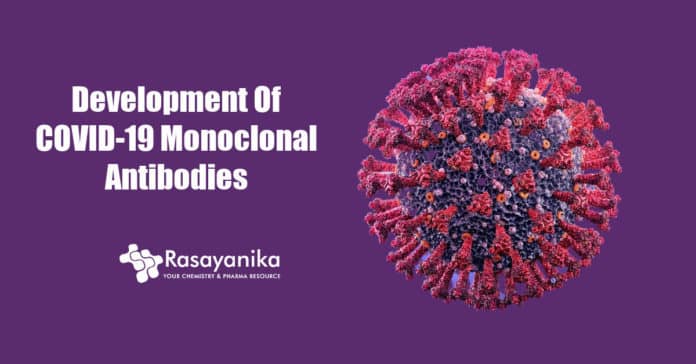 Development of COVID-19 Monoclonal antibodies
