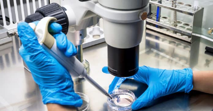THSTI Junior Research Fellow Job - Applications Invited