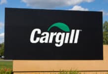 Cargill Chemistry Lead Associate Job Vacancy - Apply Online