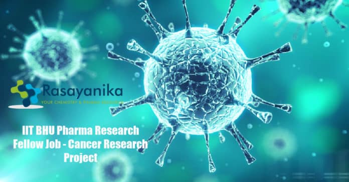 IIT BHU Pharma Research Fellow Job - Applications Invited