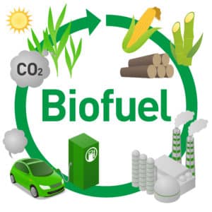 Biofuel cycle