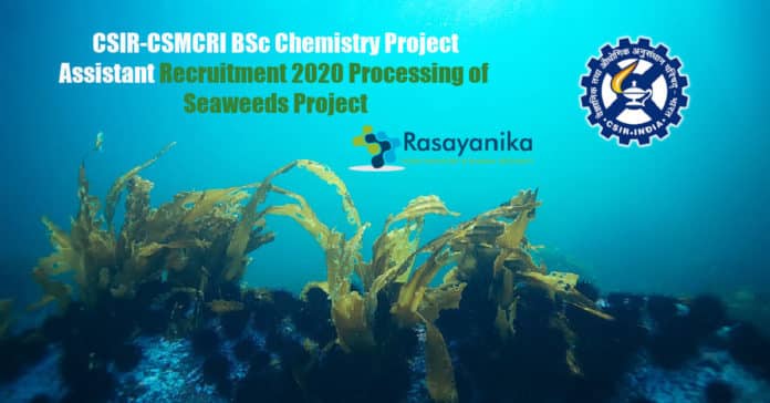 CSIR-CSMCRI BSc Chemistry Project Assistant Recruitment 2020 Processing of Seaweeds Project