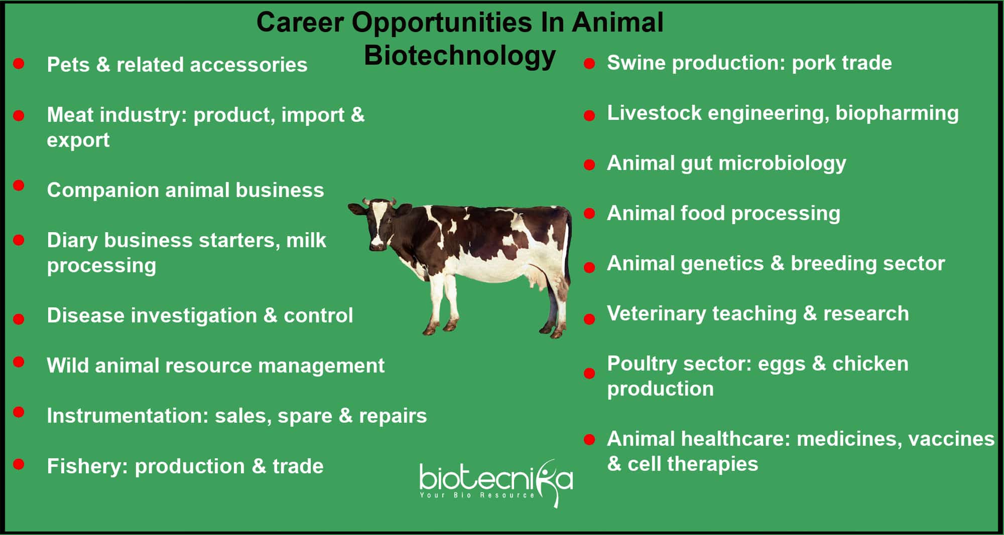 Animal Biotechnology Career Opportunities