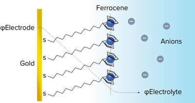 probing interfacial electrochemistry