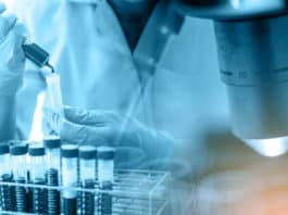 Govt ICGEB Research Fellowship 2020 - Applications Invited