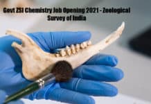 Govt ZSI Chemistry Job Opening 2021 - Zoological Survey of India