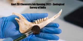 Govt ZSI Chemistry Job Opening 2021 - Zoological Survey of India