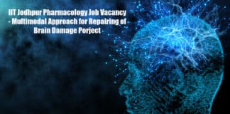 Multimodal Approach for Repairing of Brain Damage
