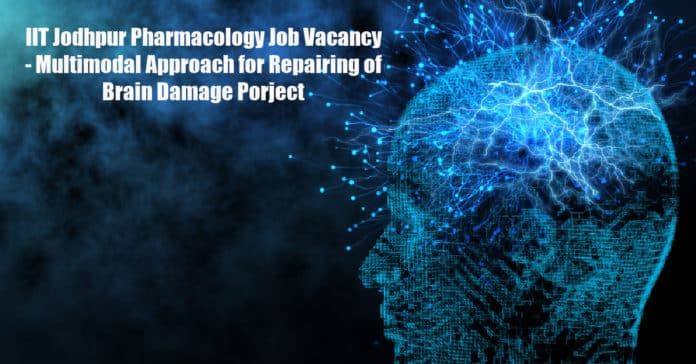 Multimodal Approach for Repairing of Brain Damage