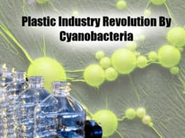 Plastic Industry Revolution
