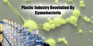 Plastic Industry Revolution