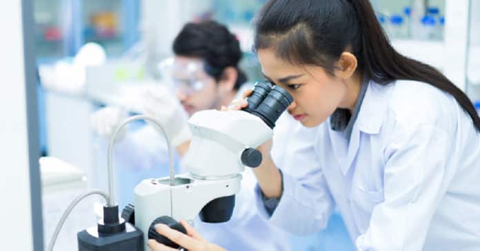 IIT Jodhpur Chemistry Job Recruitment - Junior Research Fellow