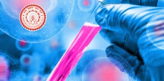 IRD-IITD Chemistry Recruitment Announced - Applications Invited