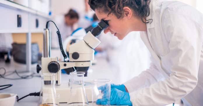 Panjab University Research Job - NASI Senior Scientist Platinum Jubilee Fellowship