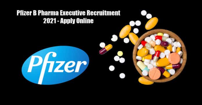 Pfizer B Pharma Executive Recruitment 2021 - Apply Online